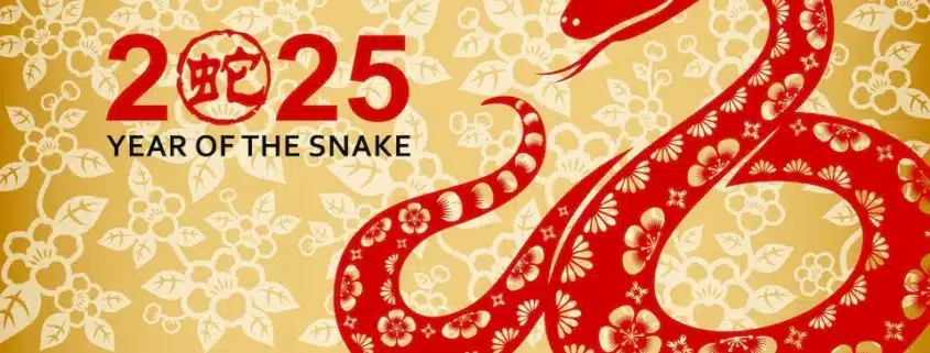 Chinese New Year 2025